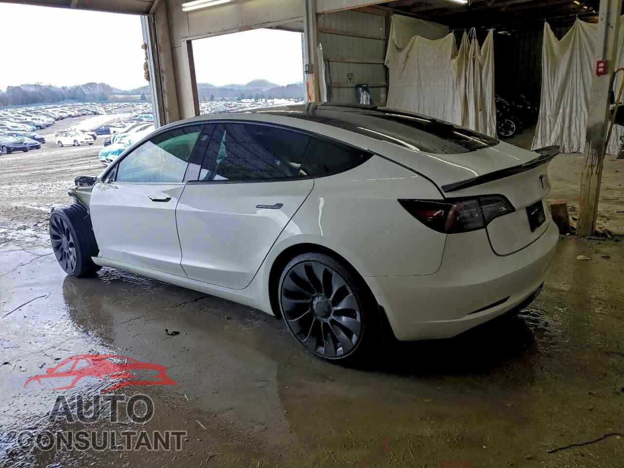 TESLA MODEL 3 2021 - 5YJ3E1EC4MF029547