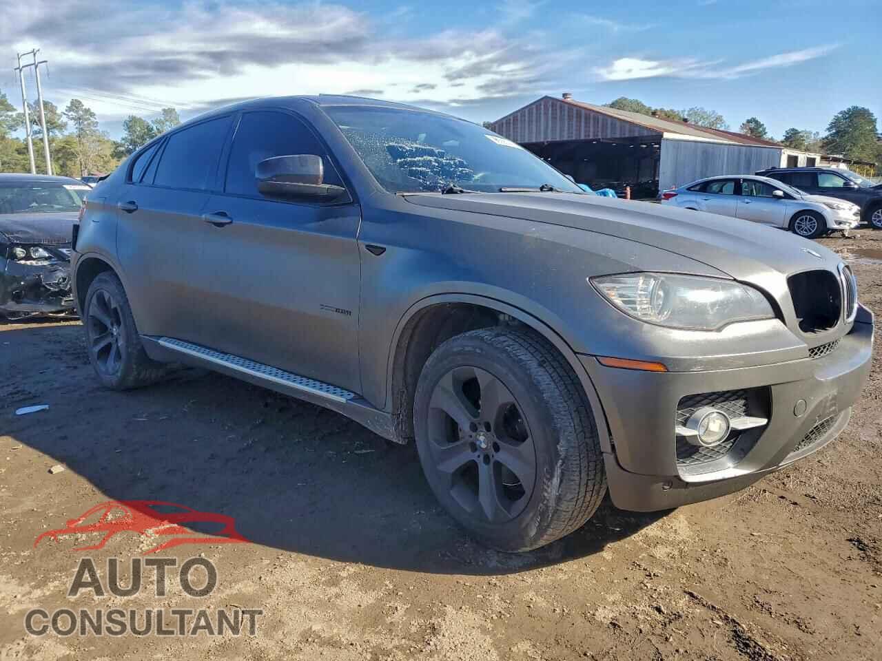 BMW X6 2011 - 5UXFG2C54BLX08020