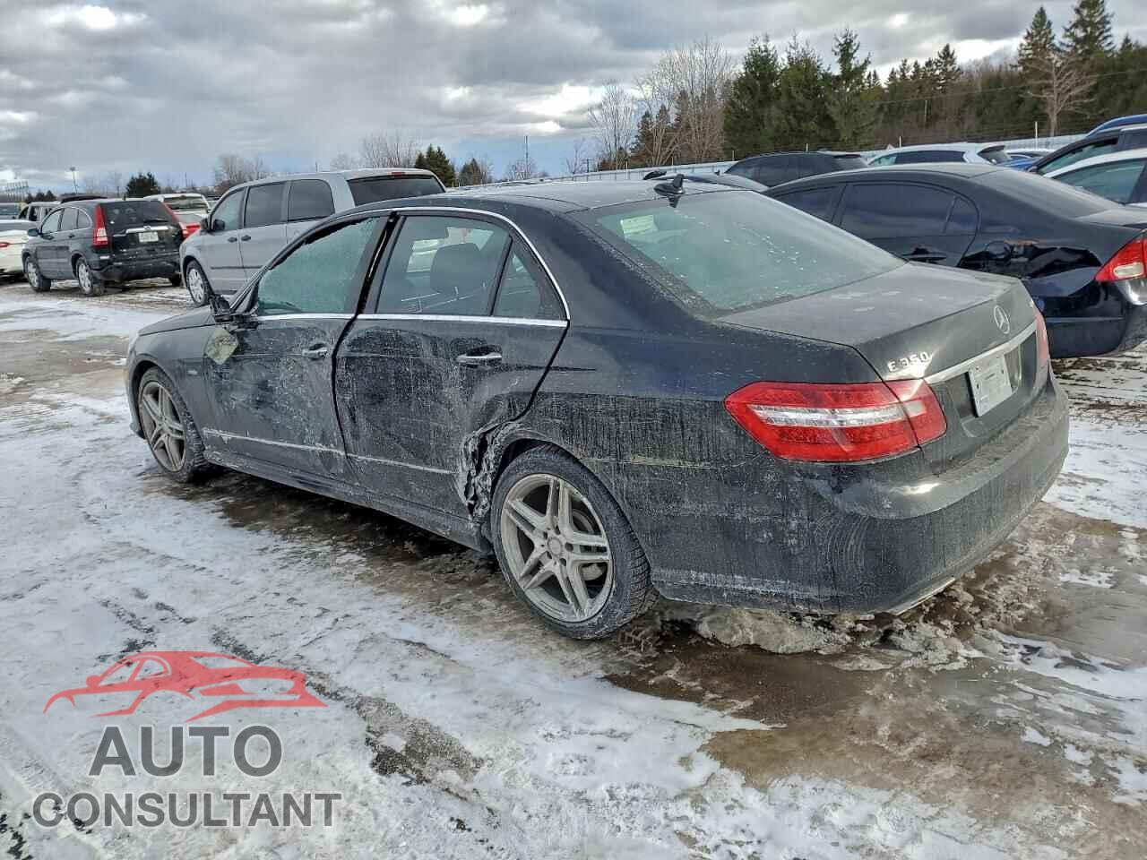 MERCEDES-BENZ E-CLASS 2012 - WDDHF8JB6CA630092
