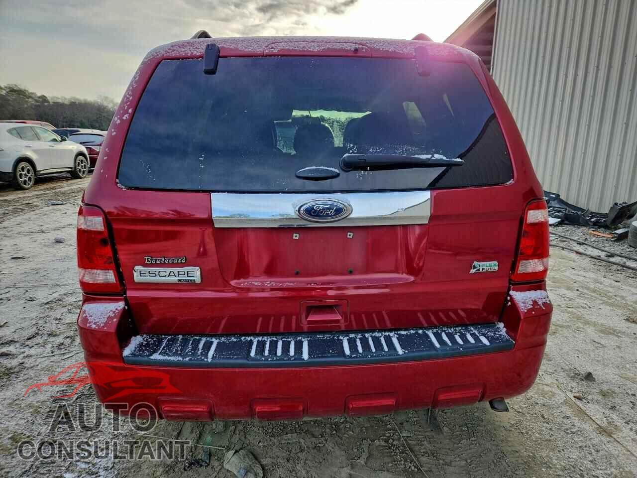 FORD ESCAPE 2011 - 1FMCU0EG0BKC31877