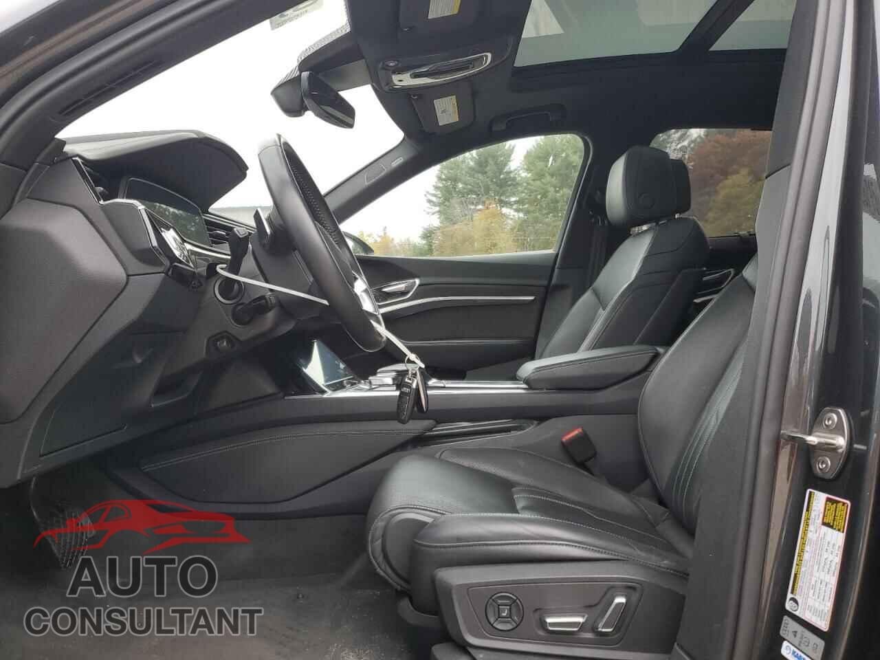 AUDI E-TRON 2019 - WA1VAAGE8KB005443