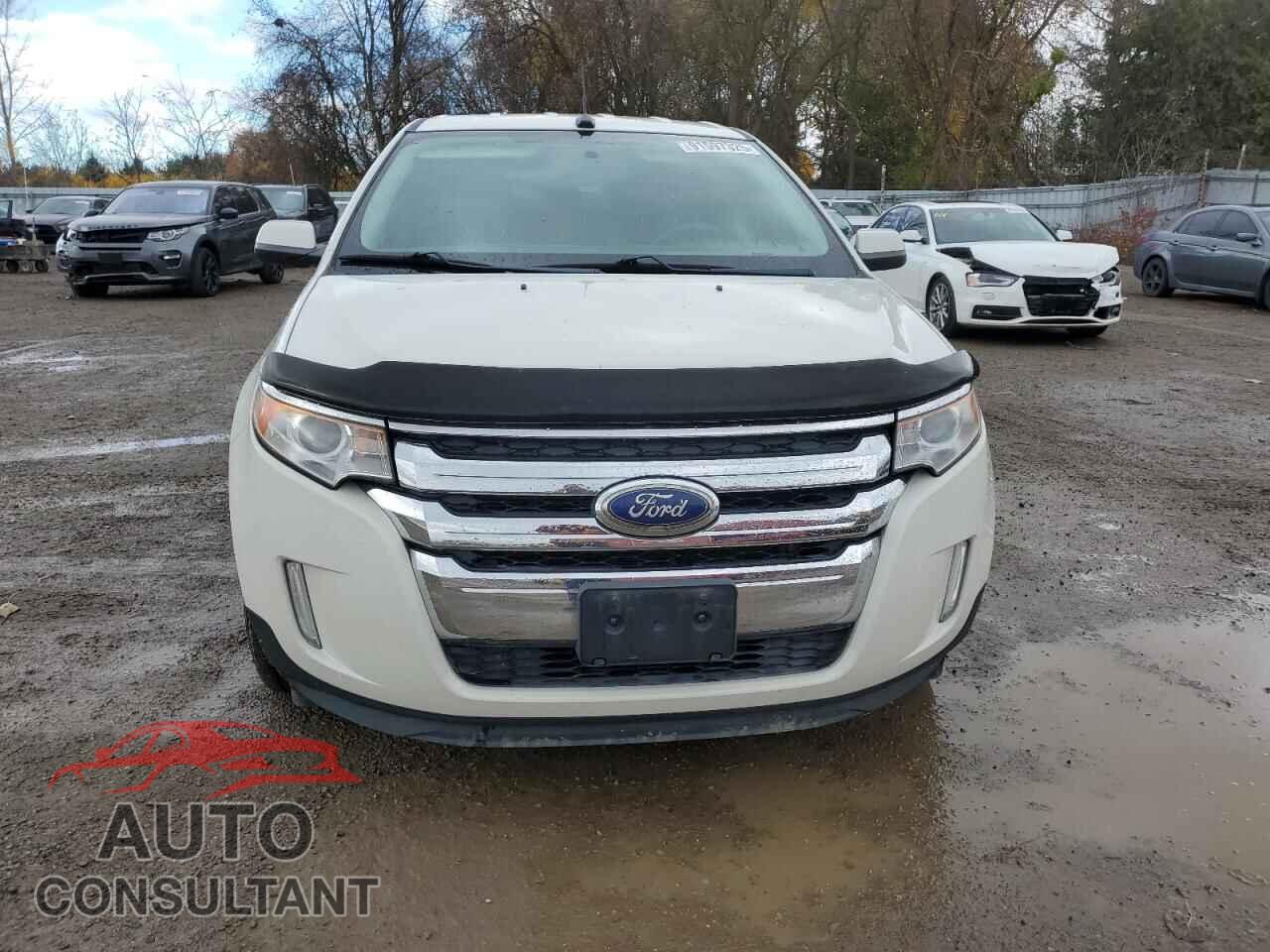 FORD EDGE 2011 - 2FMDK3JC1BBB42196