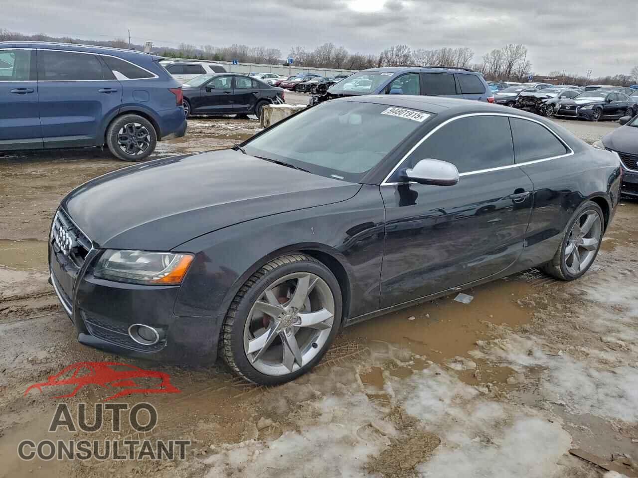 AUDI A5 2011 - WAULFAFR6BA026555