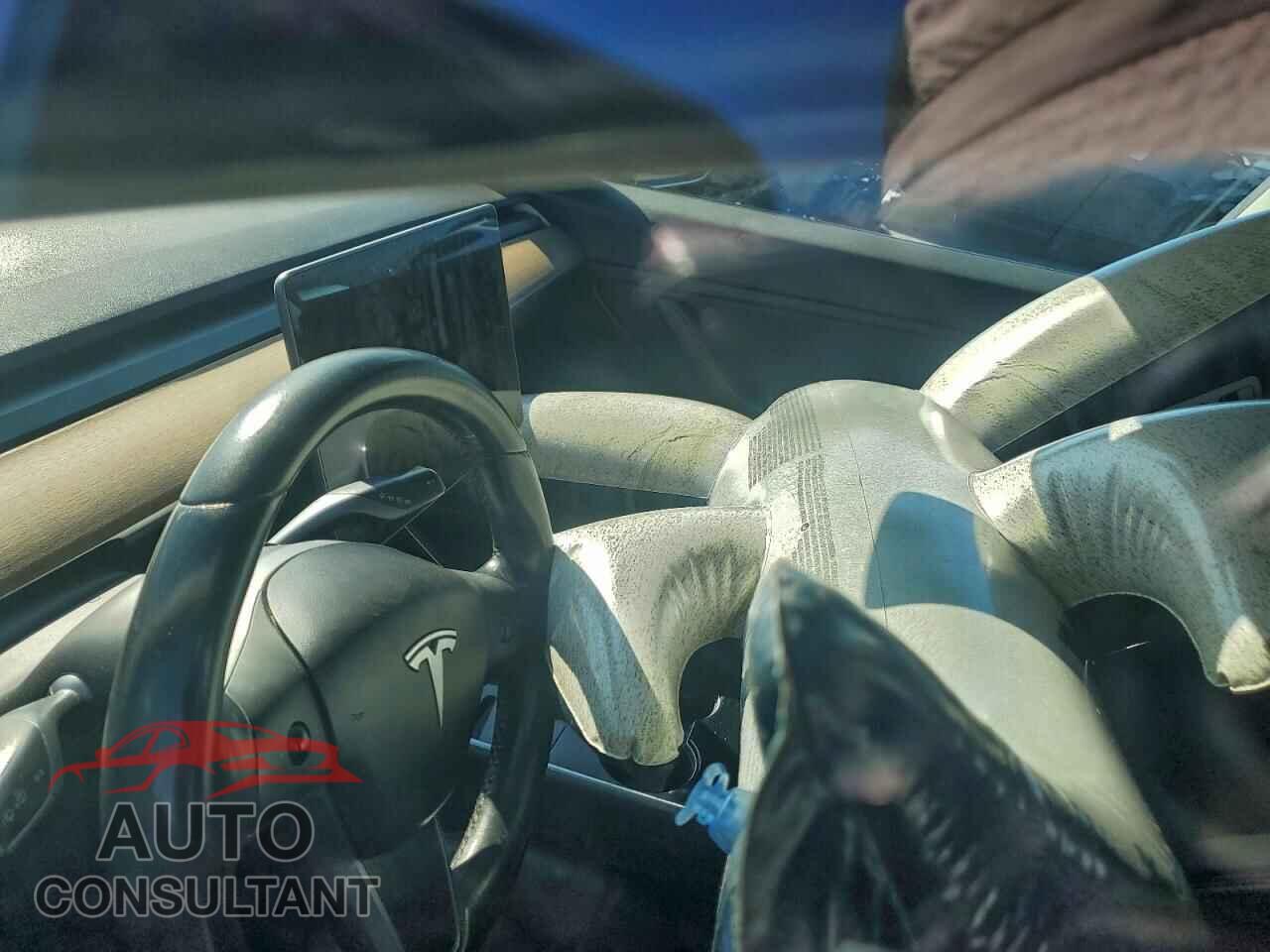 TESLA MODEL 3 2019 - 5YJ3E1EA5KF190162