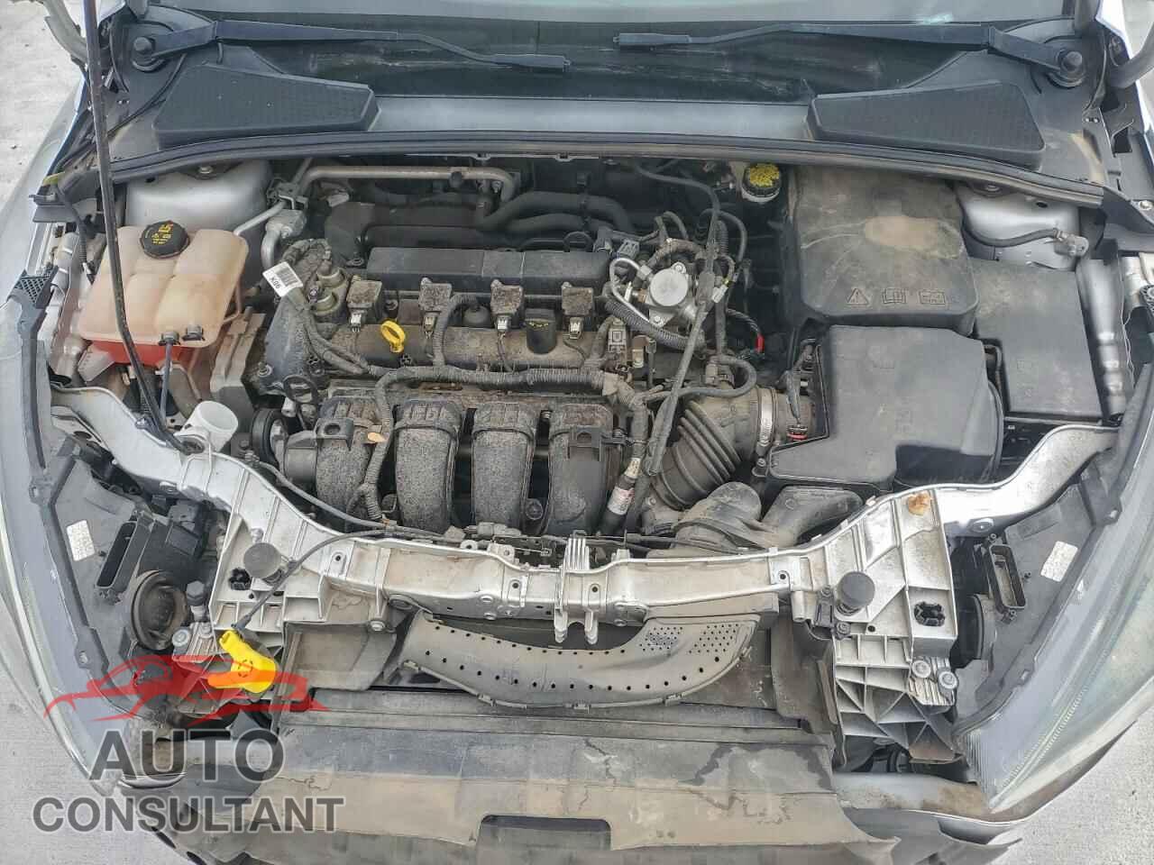 FORD FOCUS 2016 - 1FADP3K20GL394952