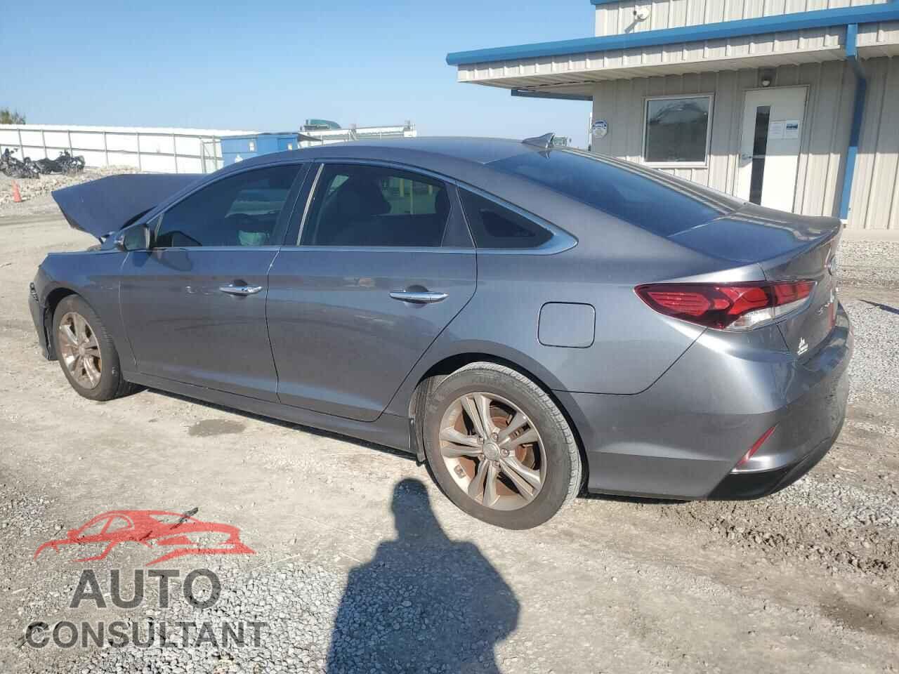 HYUNDAI SONATA 2019 - 5NPE34AF1KH759947