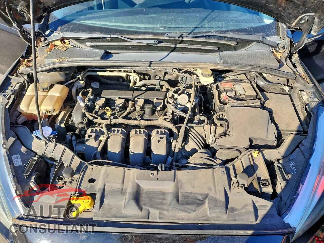 FORD FOCUS 2017 - 1FADP3E2XHL229827