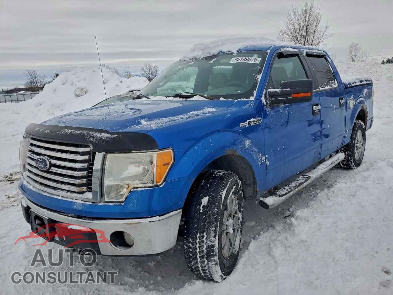 FORD F-150 2010 - 1FTEW1E86AFD81747