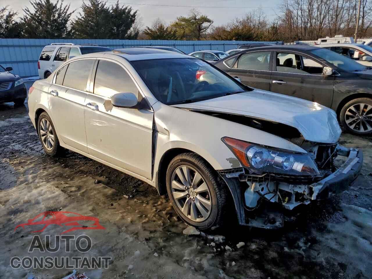 HONDA ACCORD 2011 - 5KBCP3F80BB004109