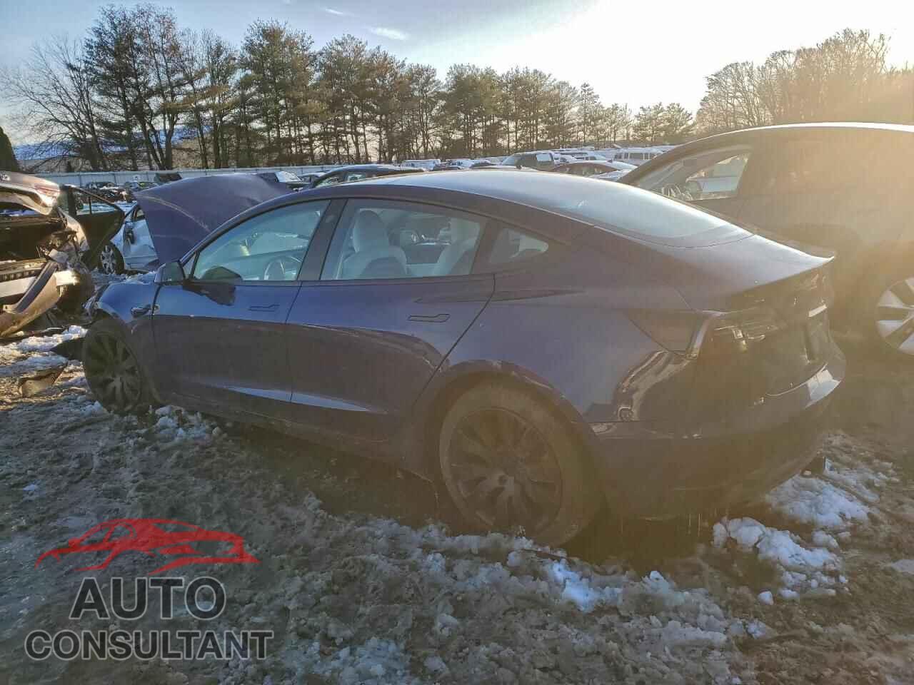 TESLA MODEL 3 2021 - 5YJ3E1EB7MF913747