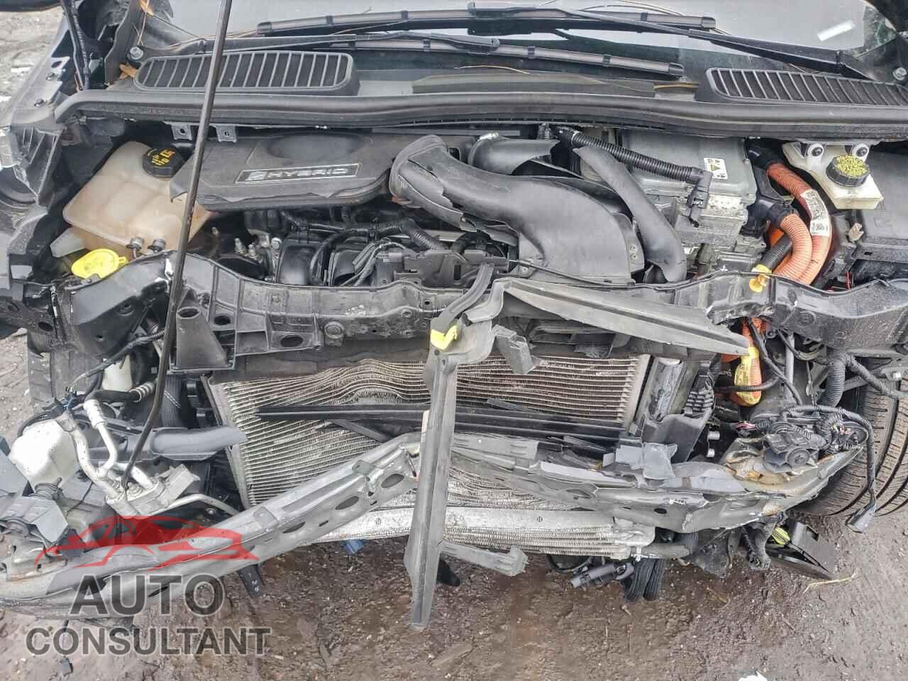 FORD CMAX 2017 - 1FADP5AU2HL114643