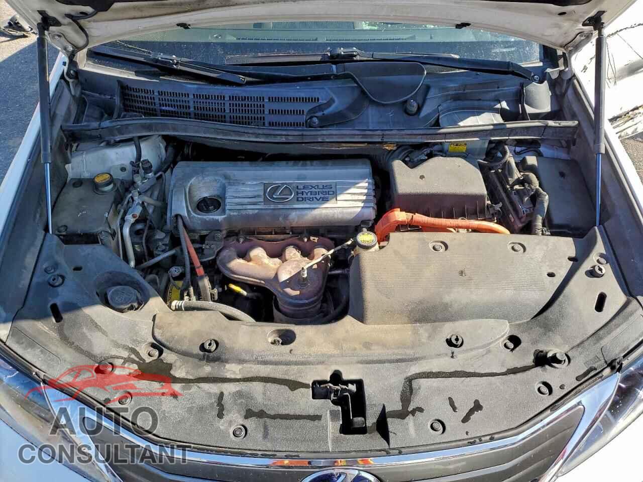 LEXUS HS 2010 - JTHBB1BA0A2008036