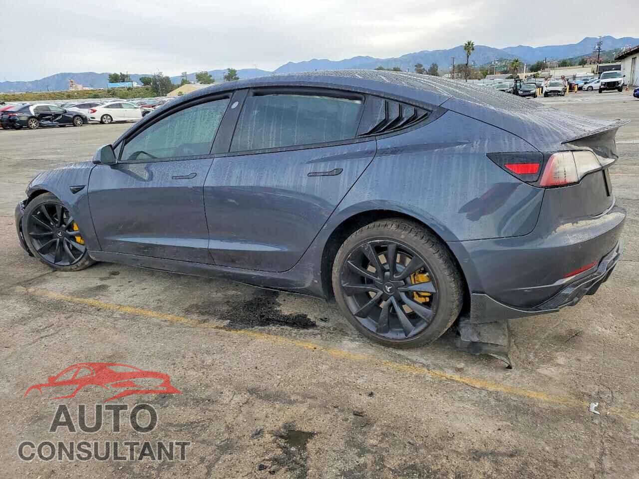 TESLA MODEL 3 2019 - 5YJ3E1EA6KF509696