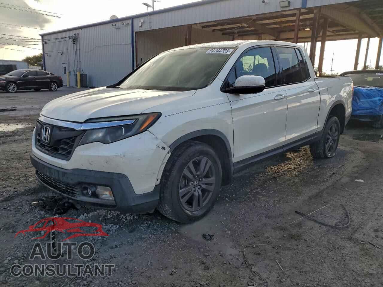 HONDA RIDGELINE 2019 - 5FPYK3F17KB022748