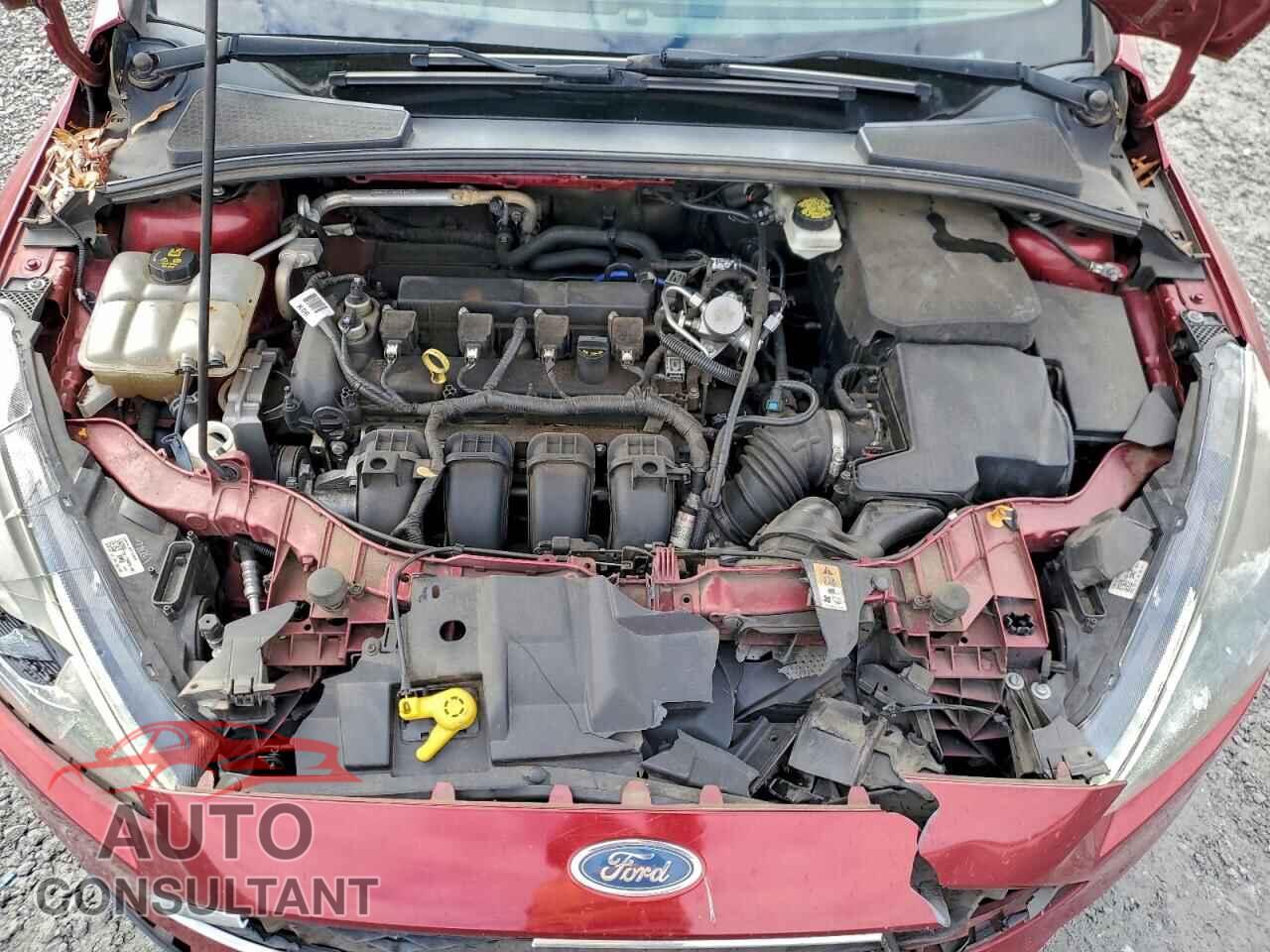 FORD FOCUS 2017 - 1FADP3H21HL256183