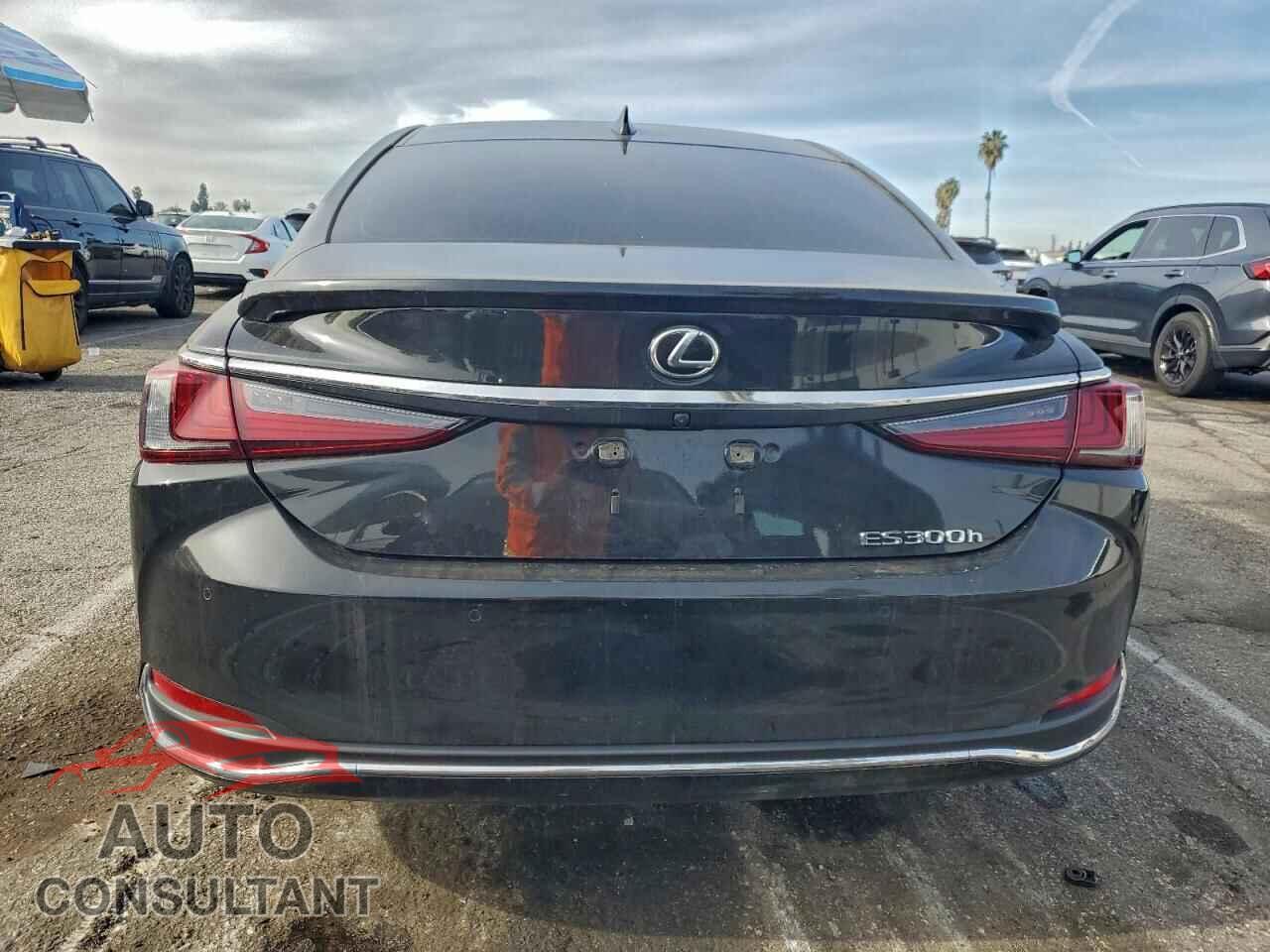LEXUS ES300 2024 - 58ADA1C19RU044985