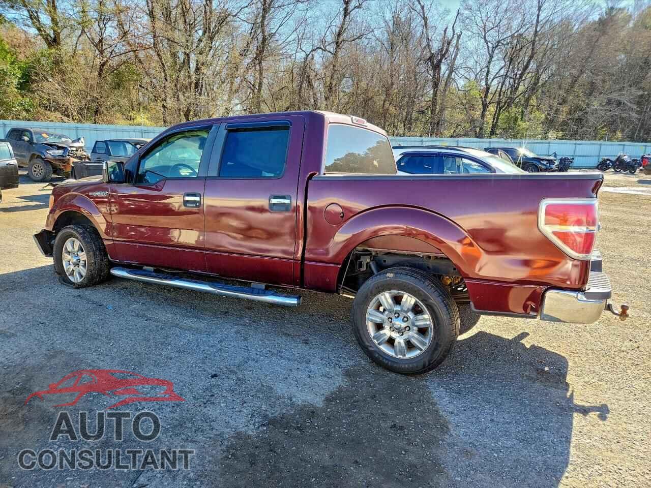 FORD F-150 2010 - 1FTEW1C84AKA22181