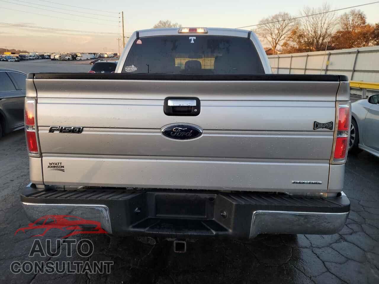 FORD F-150 2013 - 1FTFW1EF5DFD99793