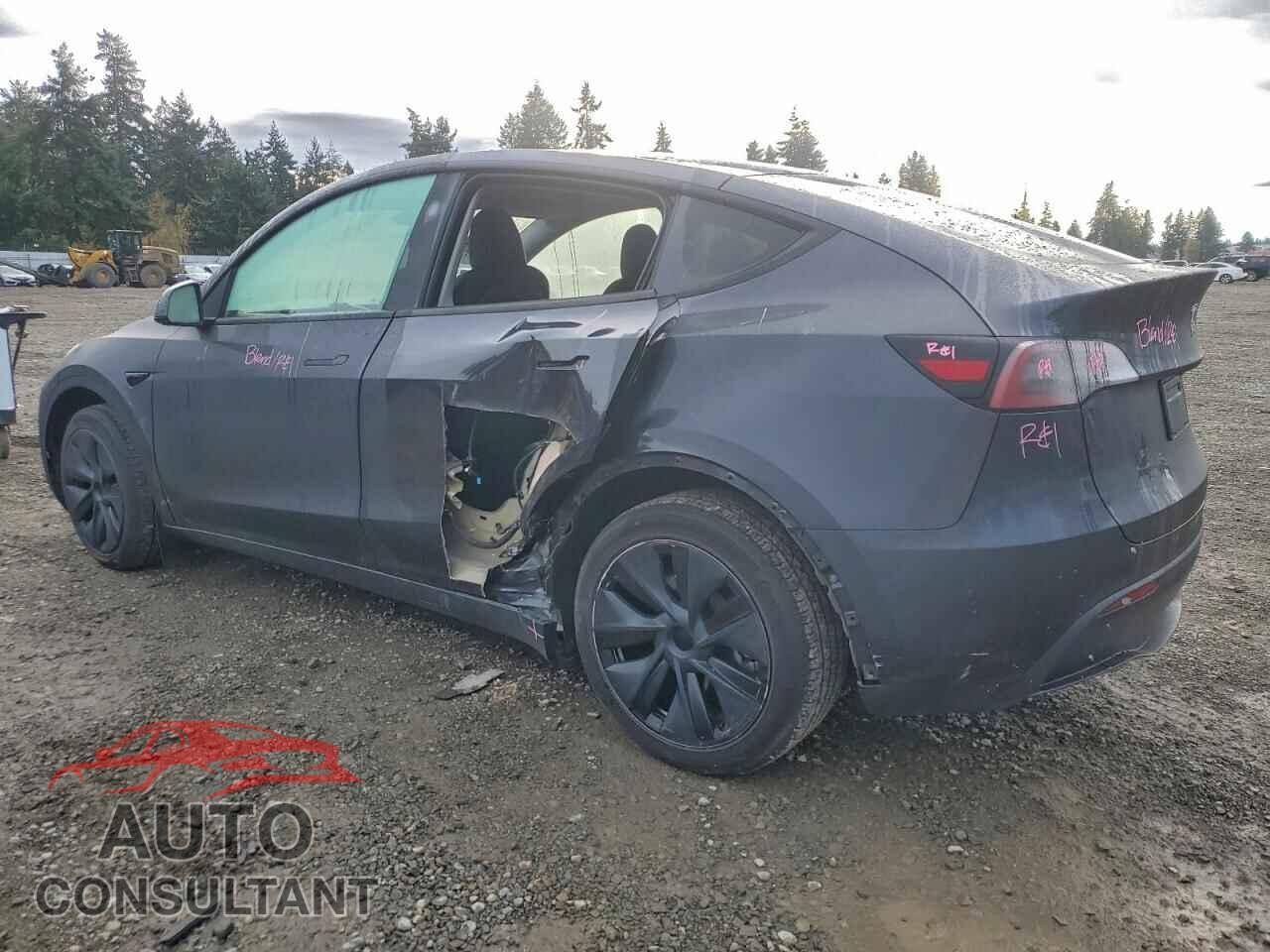 TESLA MODEL Y 2024 - 7SAYGDEE9RF178968