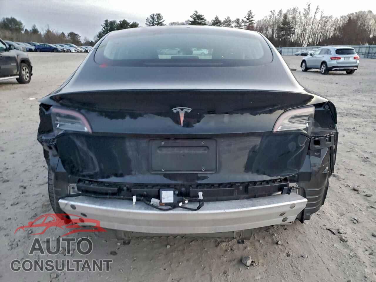 TESLA MODEL 3 2020 - 5YJ3E1EA9LF783721