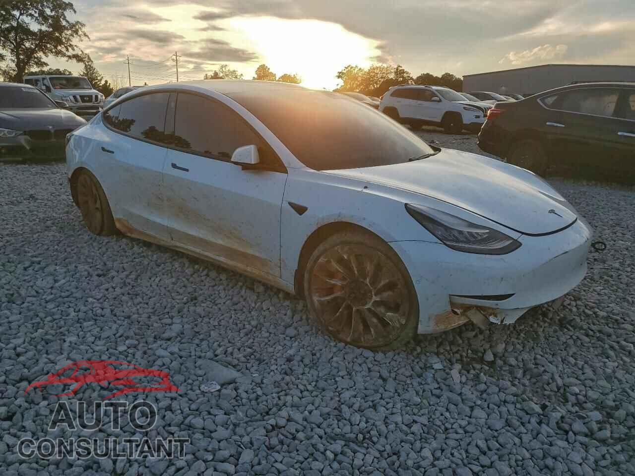 TESLA MODEL 3 2021 - 5YJ3E1EC2MF849741