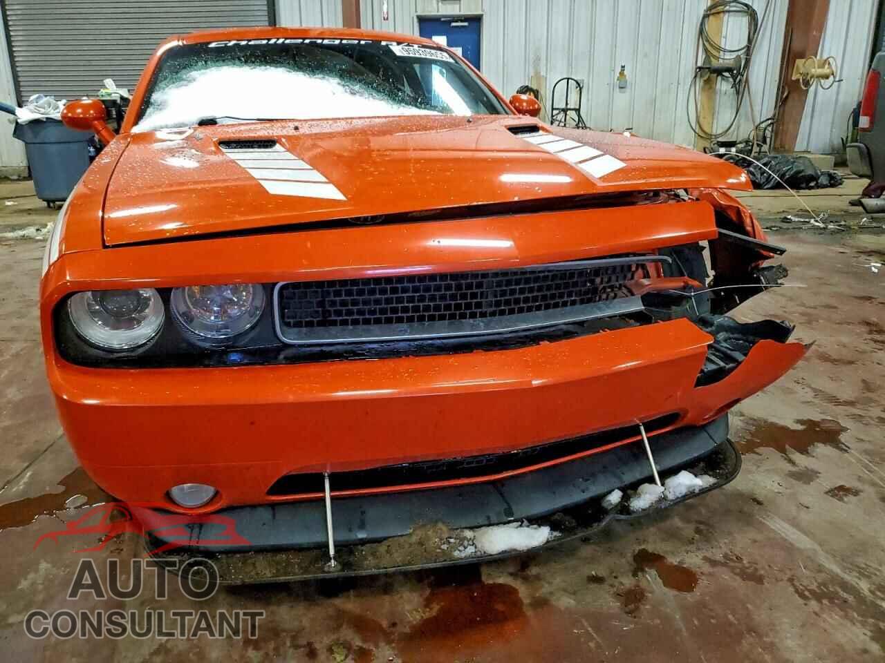 DODGE CHALLENGER 2013 - 2C3CDYBT2DH733809