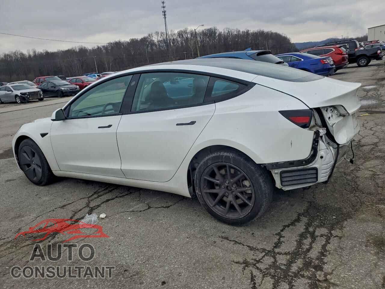 TESLA MODEL 3 2023 - 5YJ3E1EA9PF434502