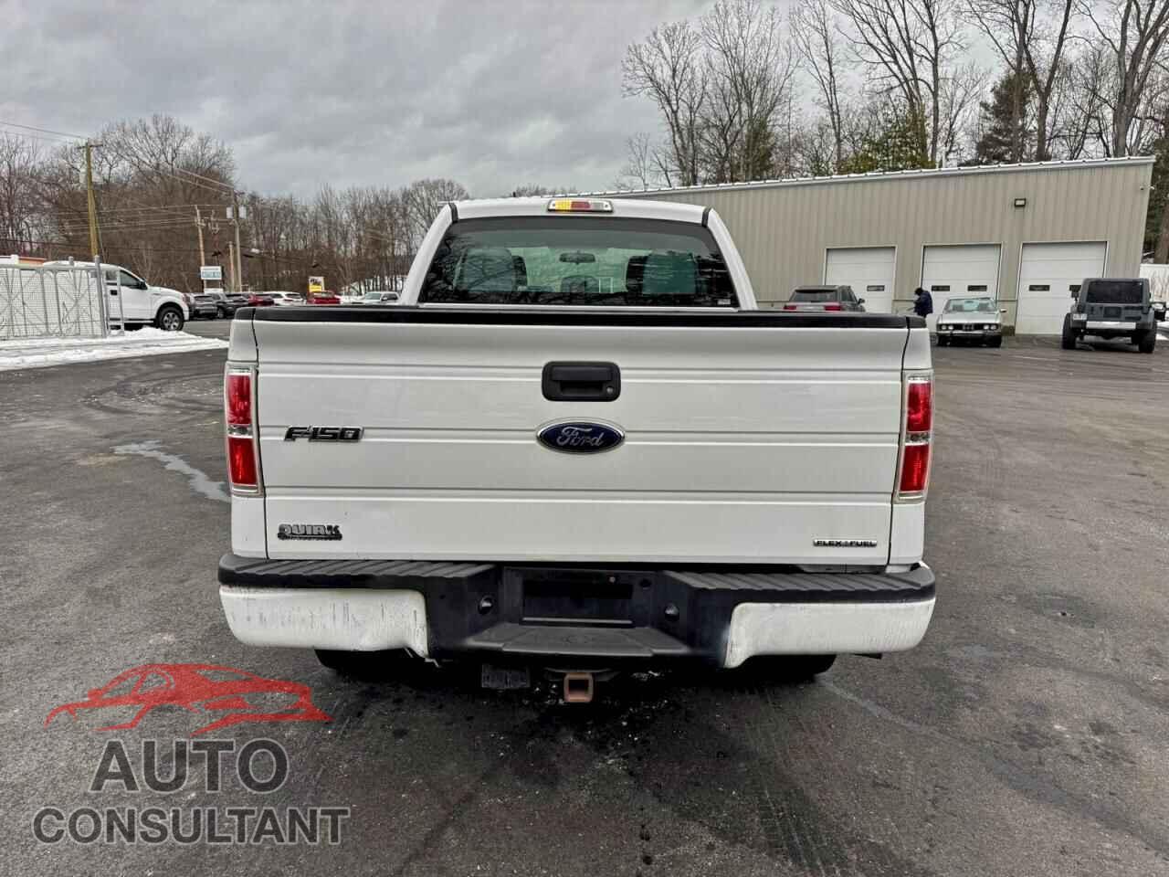 FORD F-150 2013 - 1FTFX1EF9DFD14550