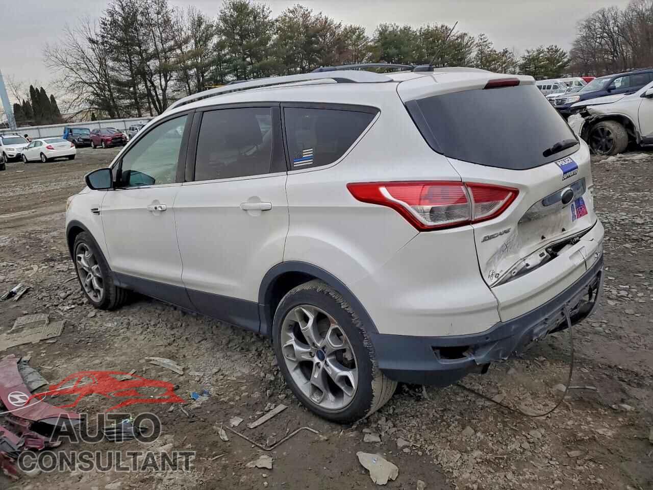 FORD ESCAPE 2014 - 1FMCU9J96EUC80862