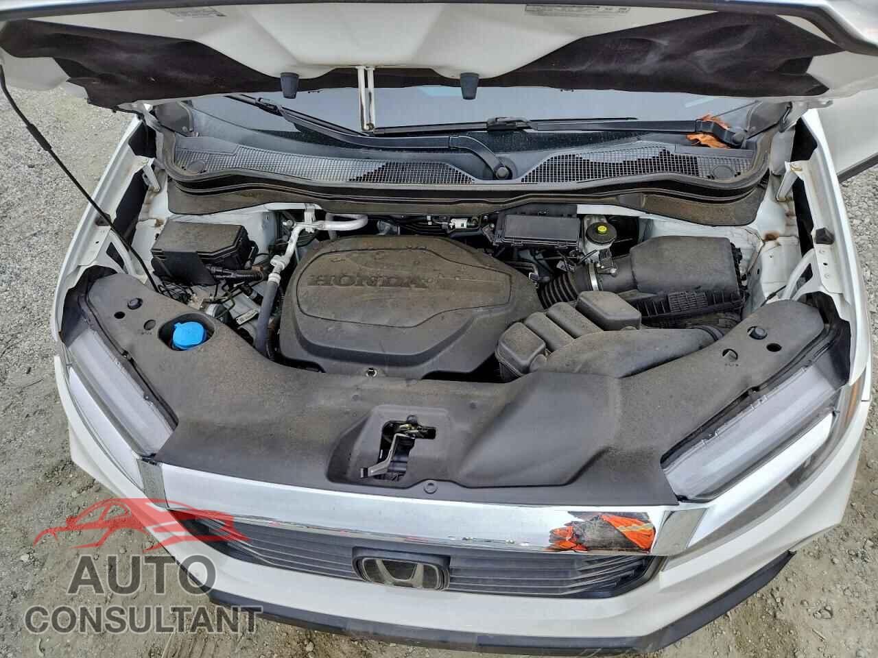 HONDA RIDGELINE 2021 - 5FPYK3F56MB025503