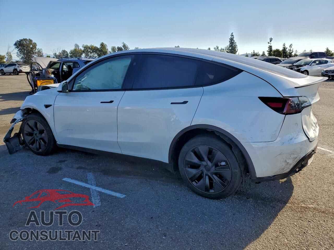 TESLA MODEL Y 2025 - 7SAYGDEE3SF255582