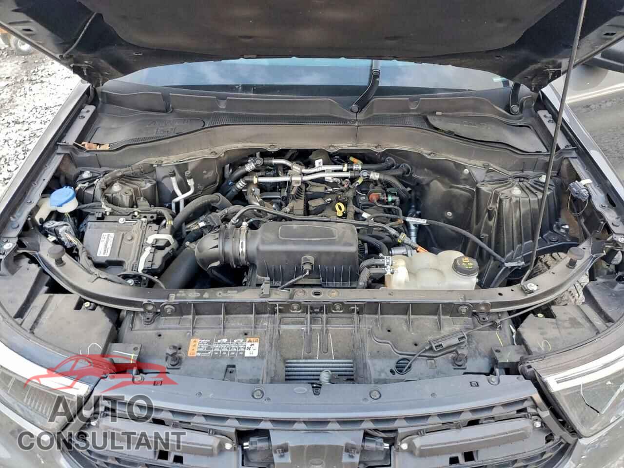 FORD EXPLORER 2023 - 1FMSK8JH7PGB48195