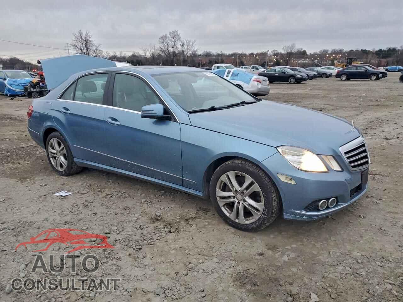 MERCEDES-BENZ E-CLASS 2010 - WDDHF8HB3AA225844
