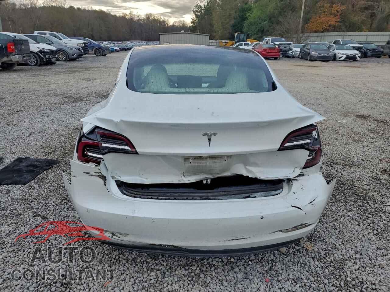 TESLA MODEL 3 2020 - 5YJ3E1EA1LF804951