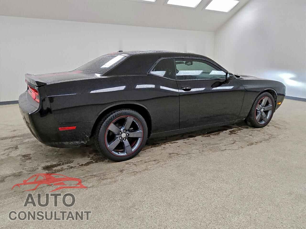DODGE CHALLENGER 2013 - 2C3CDYAG3DH628992