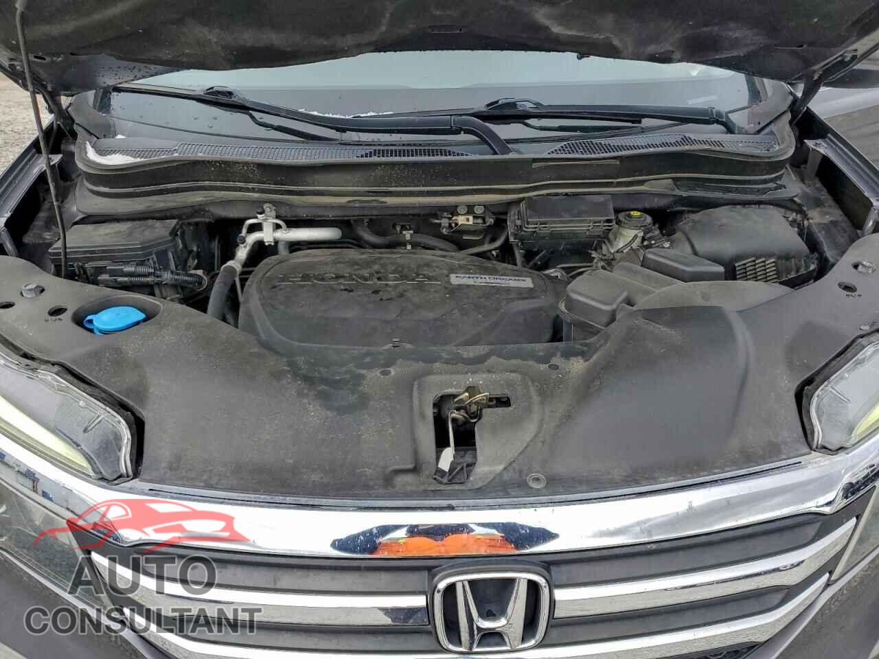 HONDA PILOT 2017 - 5FNYF6H51HB073699