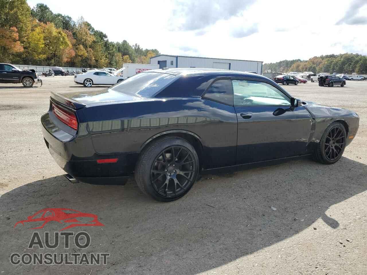 DODGE CHALLENGER 2013 - 2C3CDYBT3DH665987