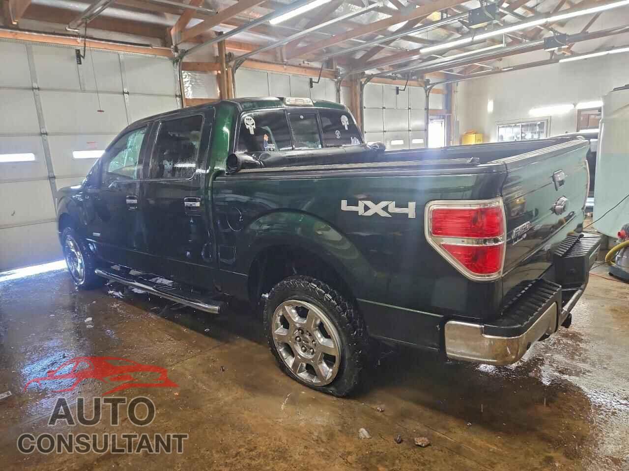 FORD F-150 2013 - 1FTFW1ET0DFD01341
