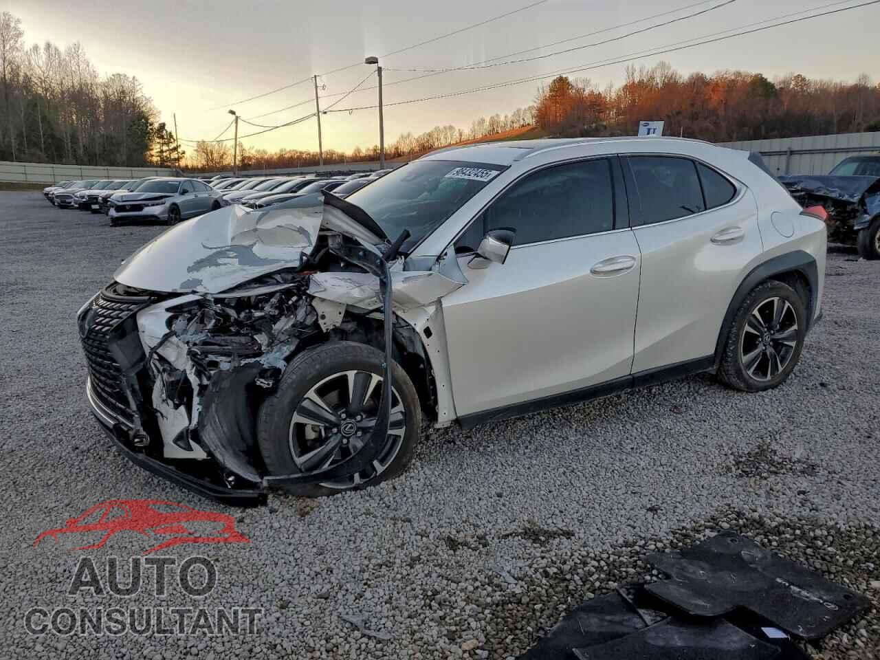 LEXUS UX 200 2019 - JTHY3JBH5K2003940