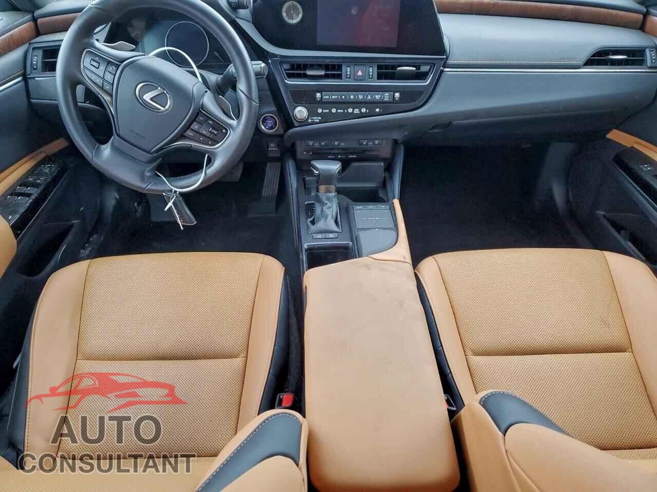 LEXUS ES300 2022 - 58ADA1C19NU025685