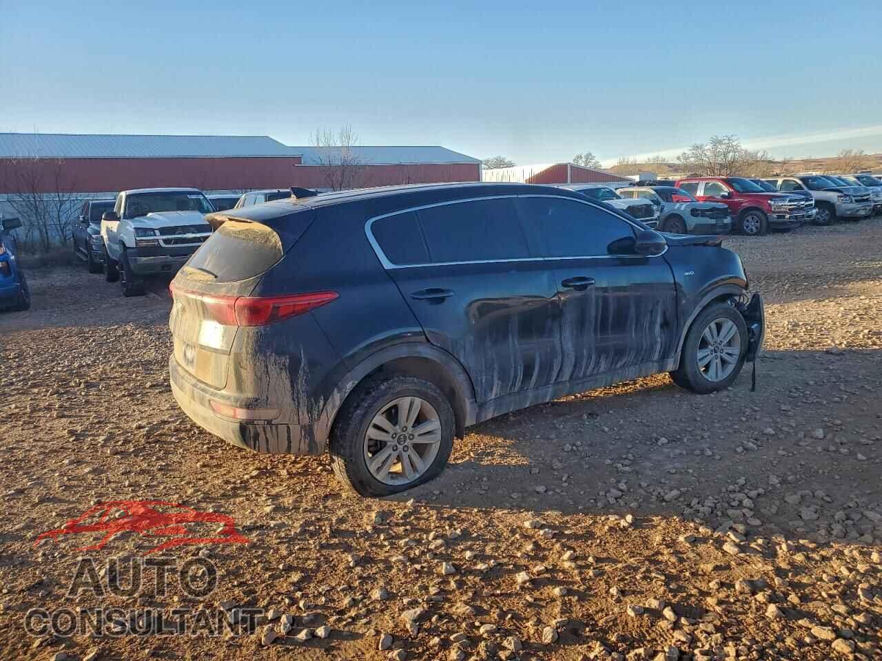 KIA SPORTAGE 2017 - KNDPMCACXH7168342