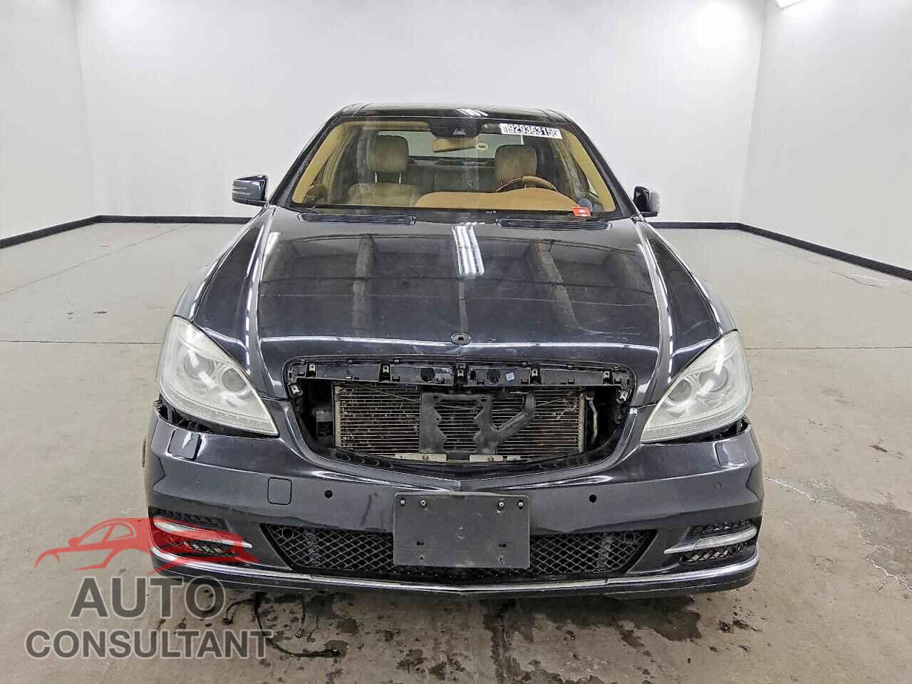 MERCEDES-BENZ S-CLASS 2013 - WDDNG9EBXDA511706