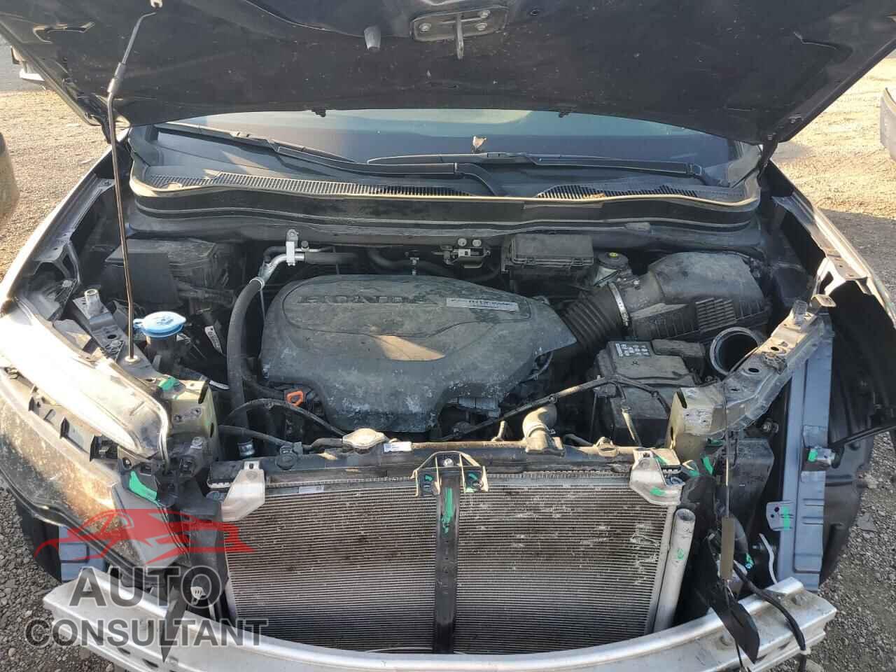 HONDA RIDGELINE 2019 - 5FPYK3F52KB034356