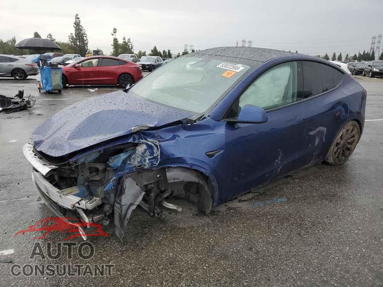 TESLA MODEL Y 2020 - 5YJYGDEE7LF012789