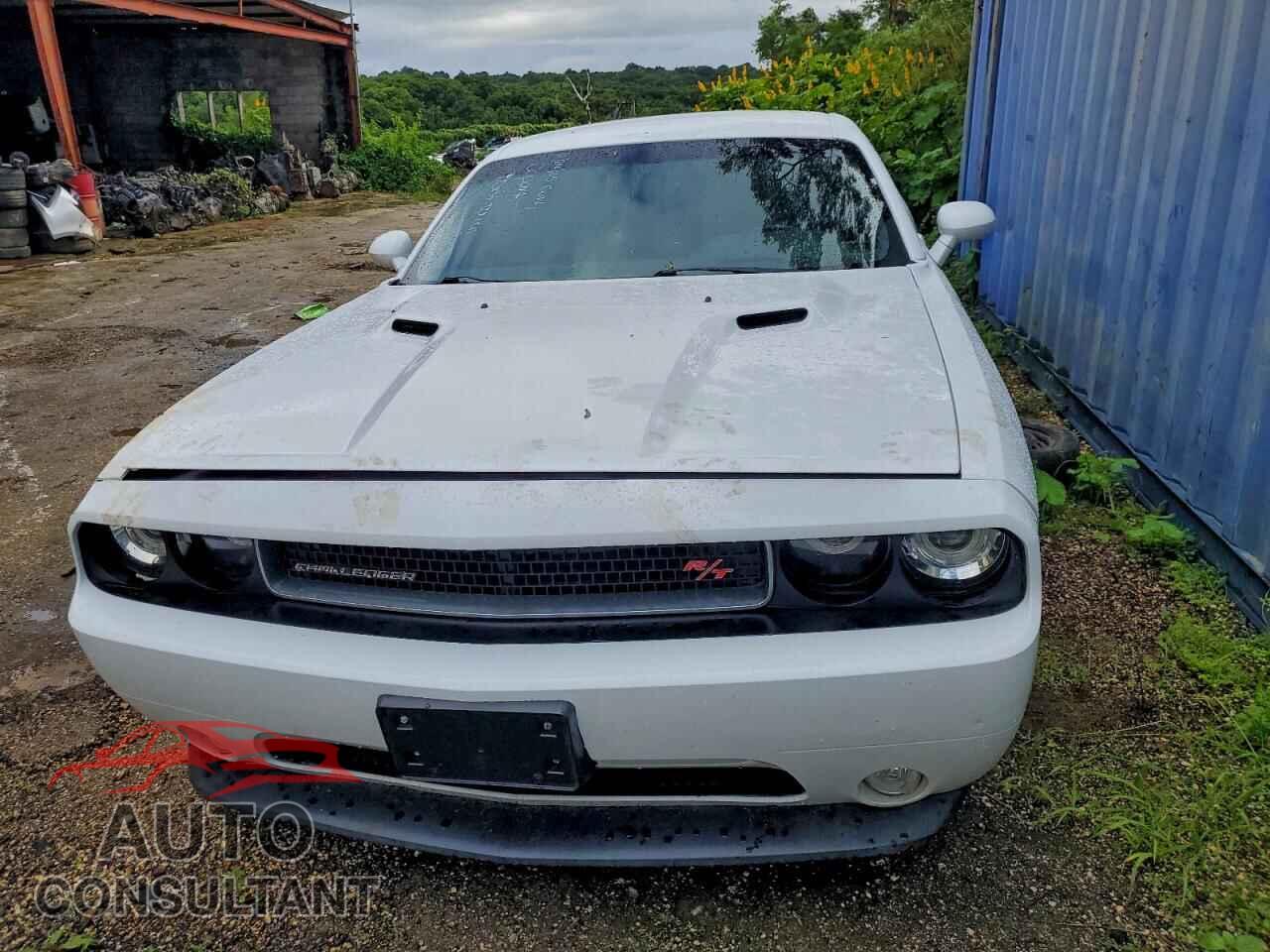 DODGE CHALLENGER 2014 - 2C3CDYBT6EH270154