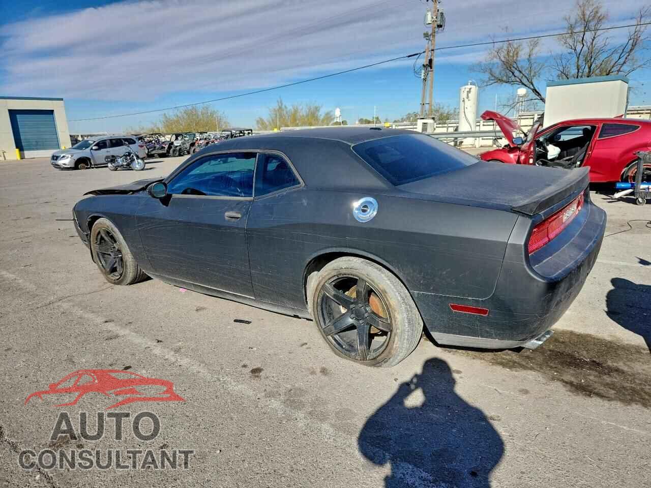 DODGE CHALLENGER 2014 - 2C3CDYBT3EH153924