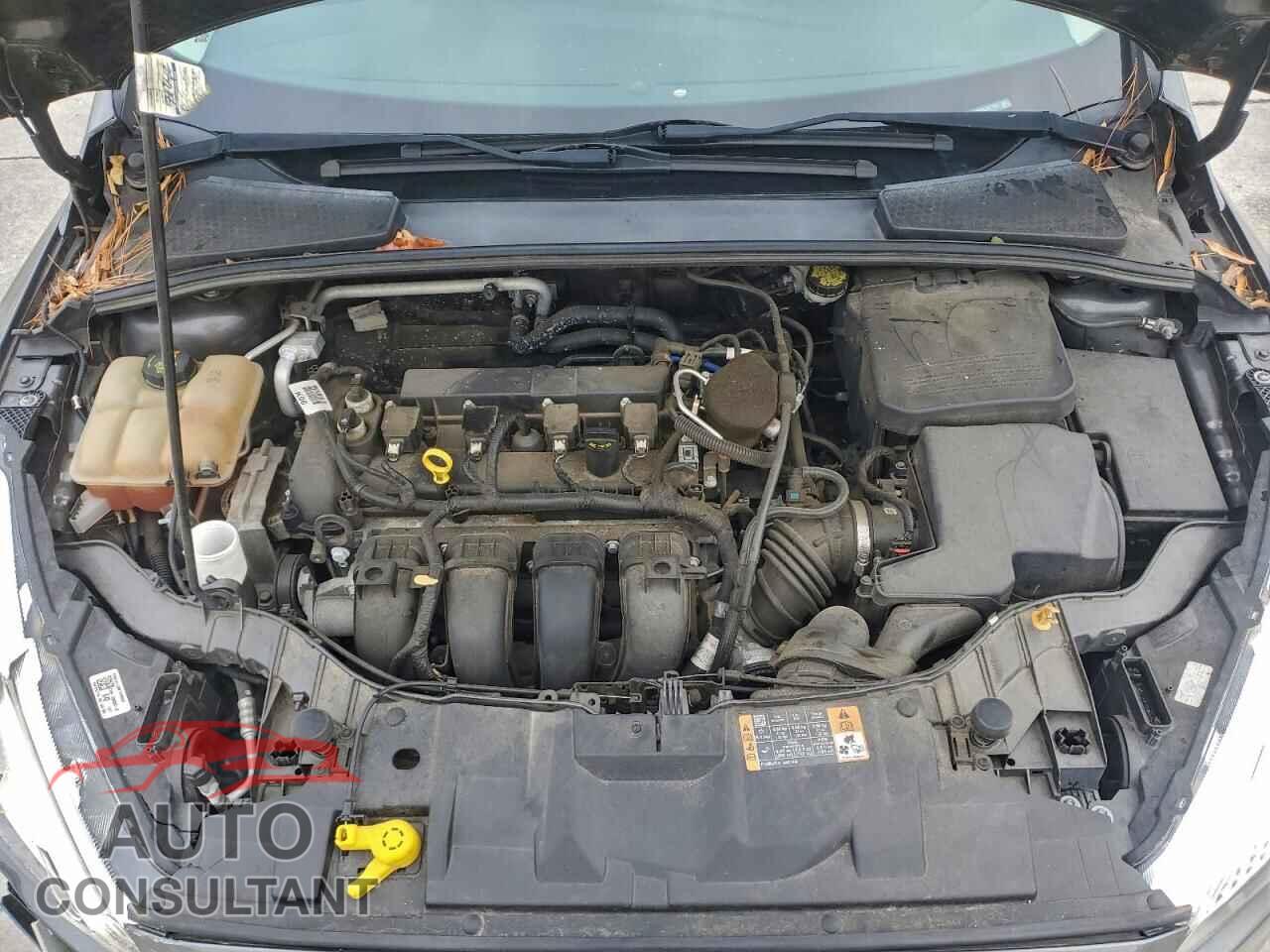 FORD FOCUS 2016 - 1FADP3K26GL207181