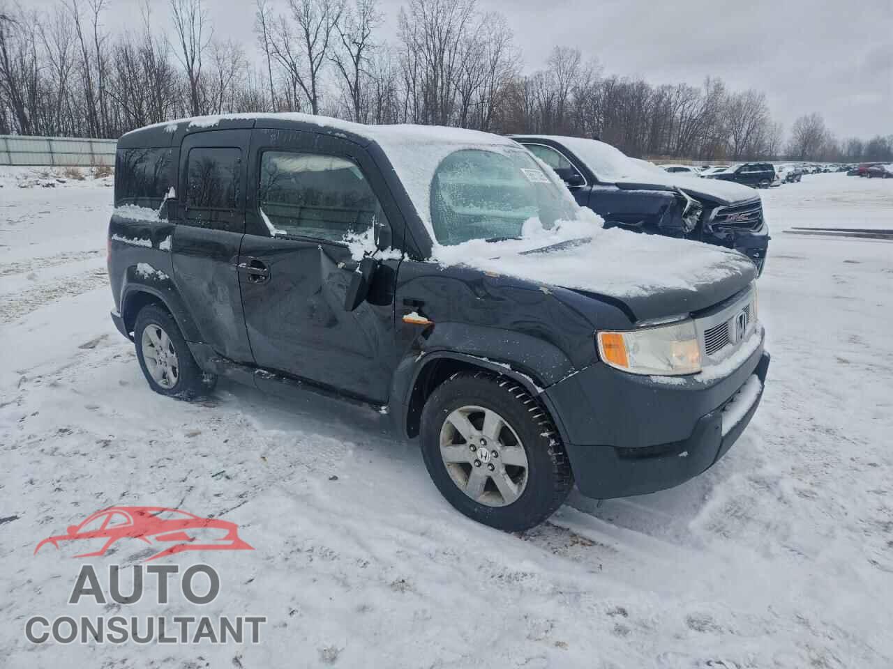HONDA ELEMENT 2009 - 5J6YH28749L004325