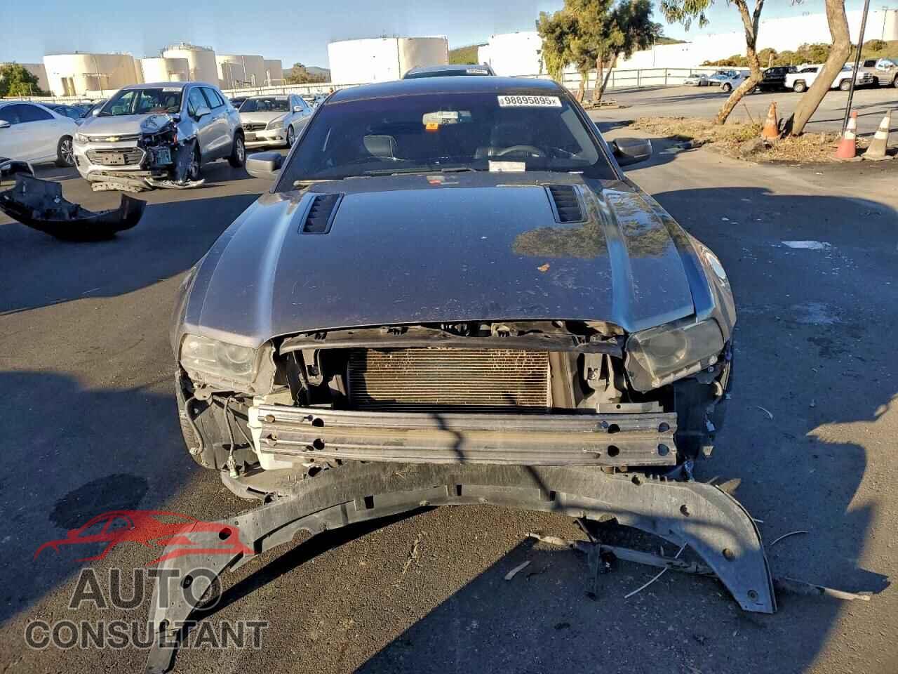 FORD MUSTANG 2014 - 1ZVBP8CF1E5208043