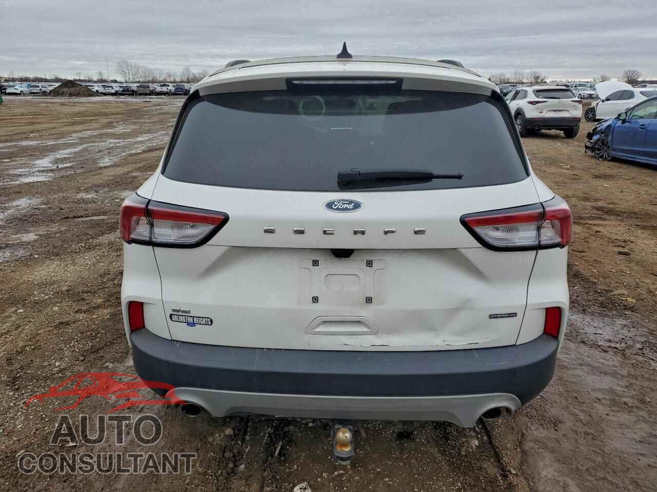 FORD ESCAPE 2020 - 1FMCU9BZ9LUA85060